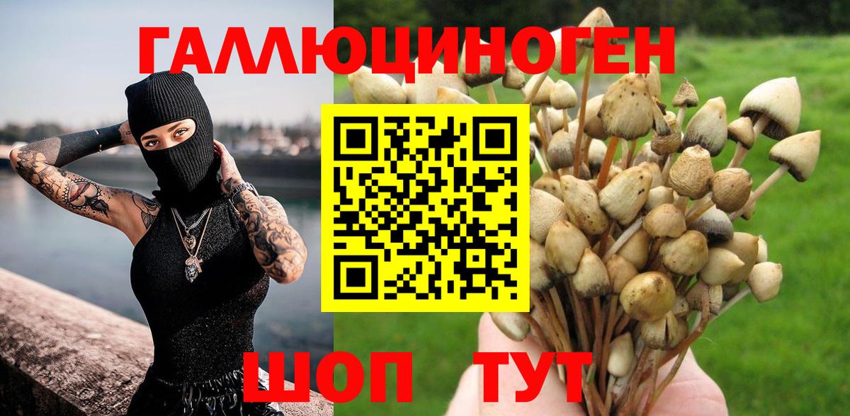 Кудымкар  Галлюциногенные грибы Psilocybe  где продают   Галлюциногенные грибы GOLDEN TEACHER  Вход с VPN 