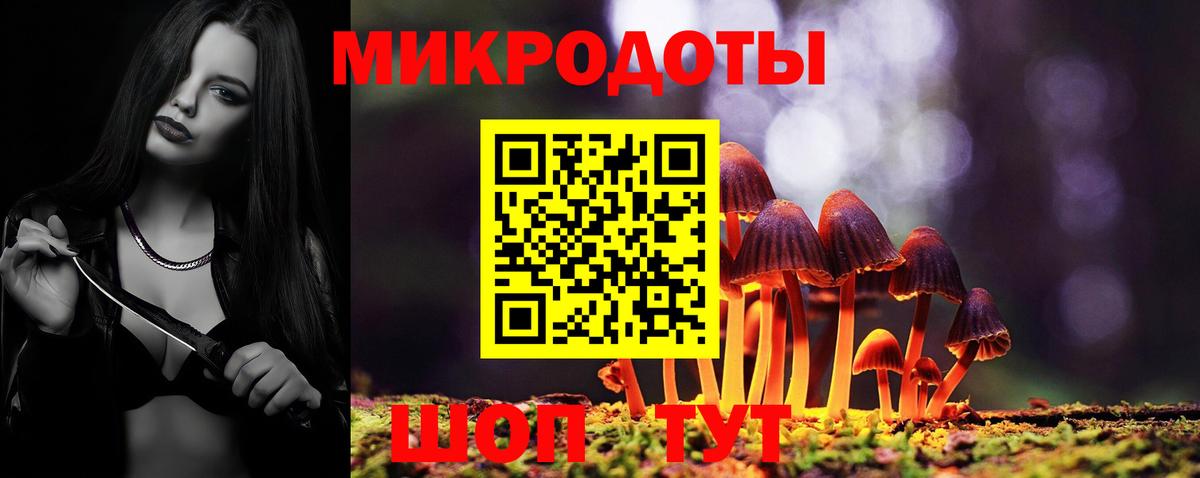 Псилоцибиновые грибы Psilocybe Кудымкар